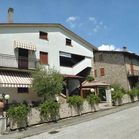 Tiziana Assisi